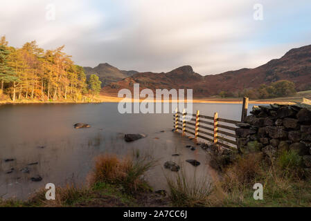 Bella e moody mattina rientrano la luce a Blea Tarn nel Lake District inglese con vedute del Langdale Pikes, e lato luccio durante l'autunno. Foto Stock