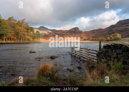 Bella e moody mattina rientrano la luce a Blea Tarn nel Lake District inglese con vedute del Langdale Pikes, e lato luccio durante l'autunno. Foto Stock