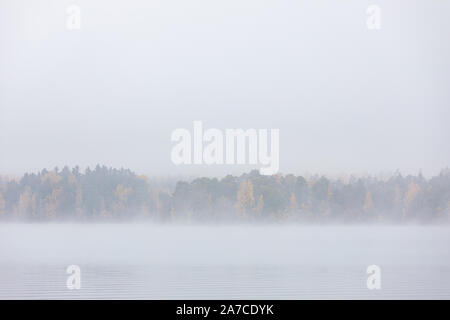 Il lago di scape e nebbioso sponda opposta foresta all'alba Foto Stock