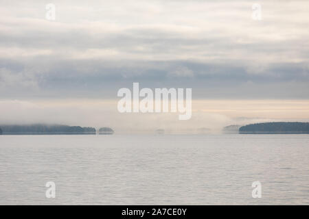 Il lago di scape e nebbioso sponda opposta foresta all'alba Foto Stock