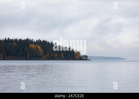 Il lago di scape e nebbioso sponda opposta foresta all'alba Foto Stock