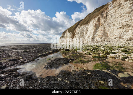 Flamborough Head beach chalk scogliere bianche e mare a nord di Bridlington, East Yorkshire, Regno Unito Foto Stock