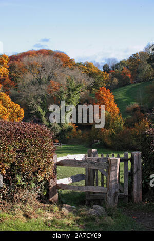 Colore di autunno in breve Lythe e baciare cancello dal sagrato della chiesa di S. Maria nella Chiesa di Prato, Selborne, Hampshire Foto Stock