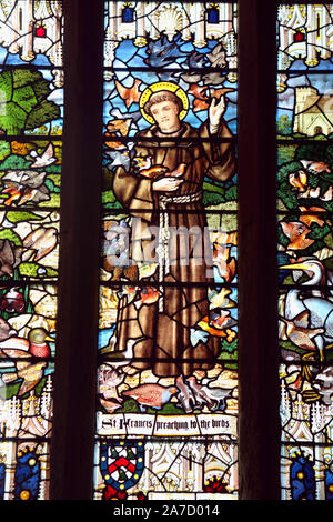 Vetrata raffigurante San Francesco che predica agli uccelli: la chiesa di Santa Maria, Selborne, Hampshire, Regno Unito. Progettato nel 1920 da Alessandro Gascoyne Foto Stock