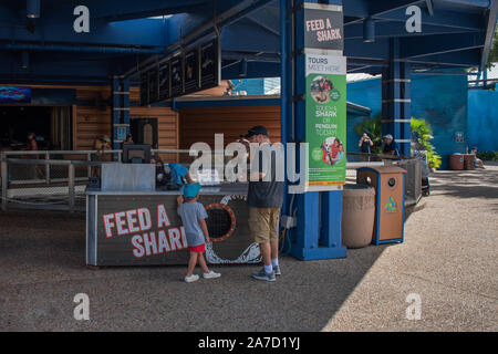 Orlando, Florida. Ottobre 29, 2019. Alimentazione di un chiosco di squalo a Seaworld Foto Stock