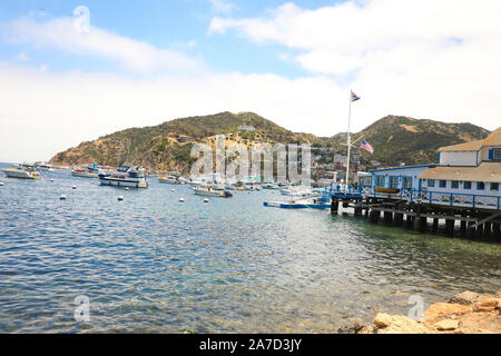 Isola Catalina, California. Case sulle colline lungo il lungomare in isola Catalina. Foto Stock