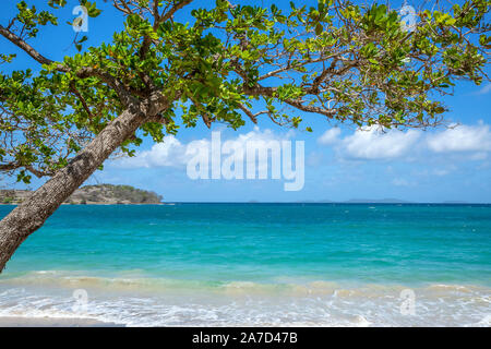 Friendship Bay sull'isola Bequia, St Vincent e Grenadine Foto Stock