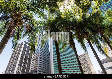 Rio de Janeiro, Brasile - 28 Febbraio 2018: grattacieli nel centro cittadino Foto Stock