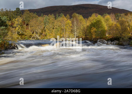 A Garbh Uisge nell ondata, Fiume Affric percorso roccioso, Glen Affric, Scozia Foto Stock