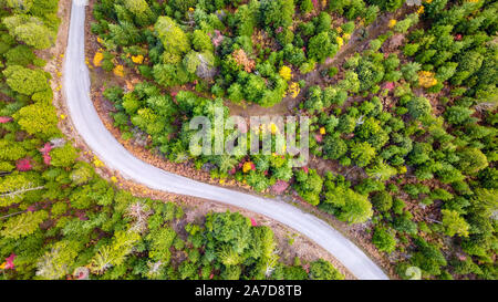 Vista aerea di una tortuosa strada nel nord-ovest del Pacifico foresta in autunno in Oregon Foto Stock