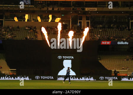 Melbourne, Victoria, Australia. 01 Nov, 2019. Gillette T20 INTL Serie di game tre Australia v Sri Lanka. Credito di immagine: Brett keating/Alamy Live News Foto Stock