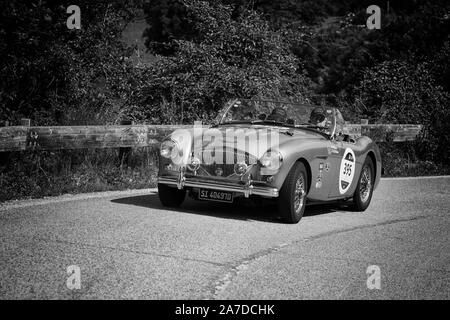 PESARO COLLE SAN BARTOLO , Italia - Maggio 17 - 2018 : Austin Healey 100/4 BN2 1955 su una vecchia macchina da corsa nel rally Mille Miglia 2018 il famoso il suo italiano Foto Stock