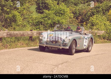 PESARO COLLE SAN BARTOLO , Italia - Maggio 17 - 2018 : Austin Healey 100/4 BN2 1955 su una vecchia macchina da corsa nel rally Mille Miglia 2018 il famoso il suo italiano Foto Stock