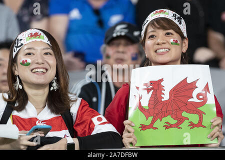 Tokyo, Giappone. 1 Nov, 2019. Gli appassionati di Galles squadra allietare prima di iniziare la Coppa del Mondo di Rugby 2019 Bronzo finale tra la Nuova Zelanda e il Galles al Tokyo Stadium. Nuova Zelanda sconfigge il Galles 40-17. Credito: Rodrigo Reyes Marin/ZUMA filo/Alamy Live News Foto Stock