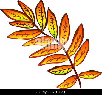 Vector Giallo autunno sorbus foglie. Illustrazione isolato elemento. Illustrazione Vettoriale