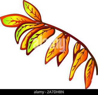 Vector Giallo autunno sorbus foglie. Illustrazione isolato elemento. Illustrazione Vettoriale