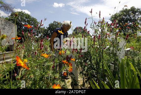 Valencia, Carabobo, Venezuela. 27 ott 2019. Novembre 01, 2019. Maria Aguirre. Maria Aguirre è un umile donna che vive nel sud della città di Valencia, in Stato Carabobo. Egli può essere visto ogni settimana che fissa la tomba di suo figlio Ronald, che era un muratore e lasciato questo mondo terreno undici anni fa. Il suo luogo di riposo è visibilmente differenti in quanto essa ha molti fiori piantati intorno ad esso e non hanno le erbacce che caratterizzano la maggior parte del cimitero comunale.Maria chiede alle autorità municipali di pagare il pagamento di tasse per fissare il cimitero e i membri della famiglia che anche pagare Foto Stock