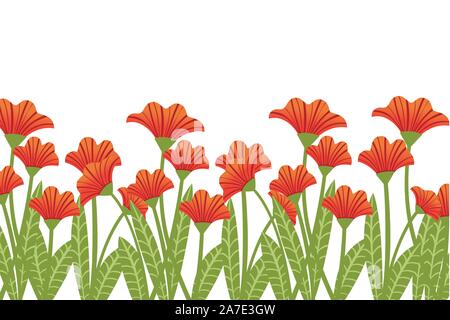 Papaveri rossi in una fila di piante a fiori di colore rosso piatta illustrazione vettoriale su sfondo bianco. Illustrazione Vettoriale