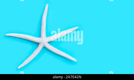 Starfish su sfondo blu. Vista da sopra con lo spazio di copia Foto Stock