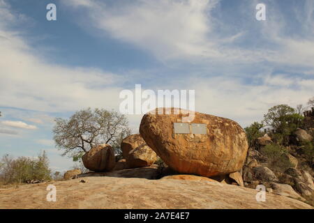 Kruger compresse Foto Stock