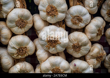 In prossimità delle varie teste d'aglio Foto Stock