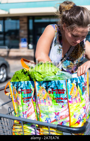 Durango, Stati Uniti d'America - 22 agosto 2019: Donna controllo dello shopping cart e sacchetti riutilizzabili con segno davanti ai negozi di alimentari naturali dal parcheggio di col Foto Stock