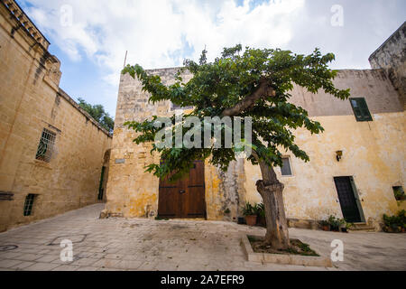 Dettagli antiche strade vicoli Mdina vecchia architettura Travel località Pareti di calcare Foto Stock