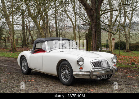 Auch ,Gers, Francia, 10 Gennaio 2008 . White MGA 1600 dal 1960 appartenente ad un allevatore francese. Foto Stock