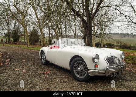 Auch ,Gers, Francia, 10 Gennaio 2008 . White MGA 1600 dal 1960 appartenente ad un allevatore francese. Foto Stock