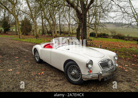 Auch ,Gers, Francia, 10 Gennaio 2008 . White MGA 1600 dal 1960 appartenente ad un allevatore francese. Foto Stock