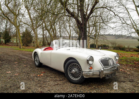 Auch ,Gers, Francia, 10 Gennaio 2008 . White MGA 1600 dal 1960 appartenente ad un allevatore francese. Foto Stock