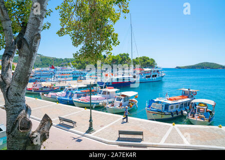 SKIATHOS GRECIA - Luglio 30 2019; pittoresco e pesca Noleggio barche allineate e ormeggiati lungo il vecchio porto waterfront incorniciato da betulla. Foto Stock