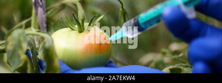 Tecnologo femmina mani in guanti blu Foto Stock