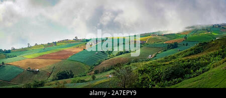 Panorama di alta vista bellissima natura paesaggio di montagna il cielo e la foresta di mattina sul punto di vista collina di Phu Thap Berk attrazioni di P Foto Stock