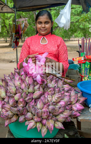 Una signora rosa Vendita fiori di loto in Kataragama tempio complesso in Sri Lanka. Foto Stock