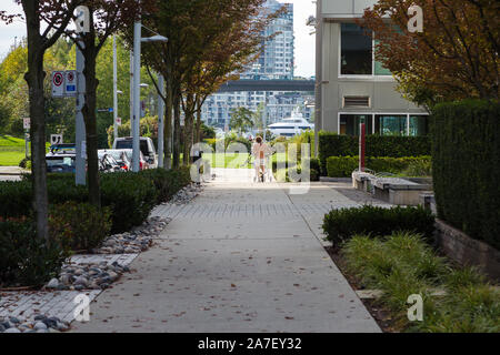 VANCOUVER, BC, CANADA - 21 SETTEMBRE 2019: Un uomo senza dimora con un carrello di shopping che cammina lungo una strada nel villaggio olimpico benestante a Vancouver. Foto Stock