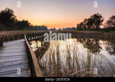 Tramonto a Kopacki rit, parco naturale Foto Stock