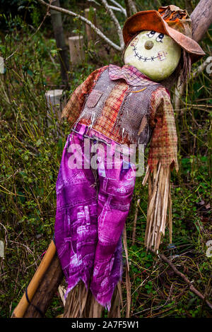 Raggedy Ann paglia spaventapasseri ripiene Foto Stock