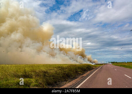 Bushfire controllato nel Parco Nazionale di Kakadu con uccelli diversa, Territorio del Nord, l'Australia Foto Stock