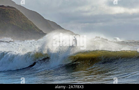 Swansea, Regno Unito. 02Nov, 2019. Un surfista Cavalca le onde a Langland Bay vicino a Swansea questa mattina. Le onde sono stati generati dal maltempo che ha flagellato il Galles del Sud la scorsa notte. Credito: Phil Rees/Alamy Live News Foto Stock