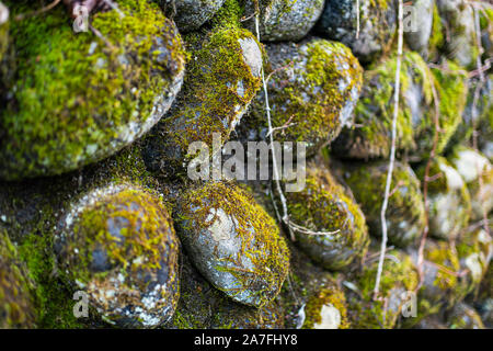 Abstract closeup texture di muro di pietra in Okuhida villaggi vicino a Takayama, Giappone montagna nella Prefettura di Gifu park con MOSS e neve Foto Stock