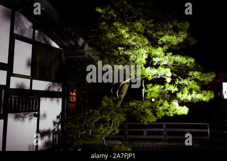 Takayama, Giappone edificio dal fiume Enako nella Prefettura di Gifu in Giappone con il villaggio tradizionale con illuminato verde albero di notte Foto Stock