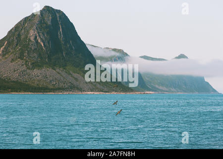 Husoy isola in Norvegia mare e montagne paesaggio percorsi di viaggio paesaggi scandinavi di Senja Foto Stock