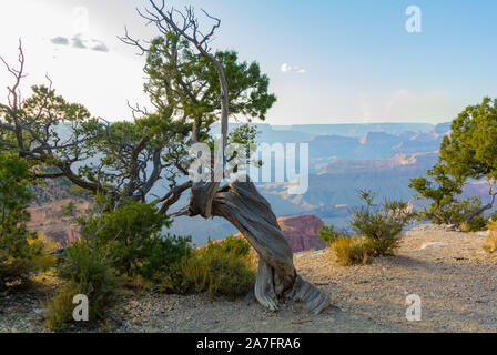 Vista panoramica vista dal bright angel sentiero in south rim durante il crepuscolo, il parco nazionale del Grand Canyon, Arizona, Stati Uniti d'America, Stati Uniti d'America Foto Stock