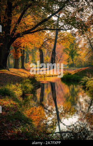 Bellissimo paesaggio autunnale con piacevole calda luce di sole. La foto è stata scattata in Bad Muskau Park, in Sassonia, Germania. UNESCO - Sito Patrimonio dell'umanità. Foto Stock