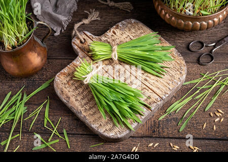 Due fasci di fresco di Erba di orzo su un tavolo Foto Stock