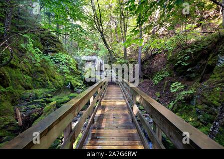 Sentiero escursionistico, passerella in legno conduce attraverso una gola, Fundy National Park, vicino al Alma, New Brunswick, Canada Foto Stock