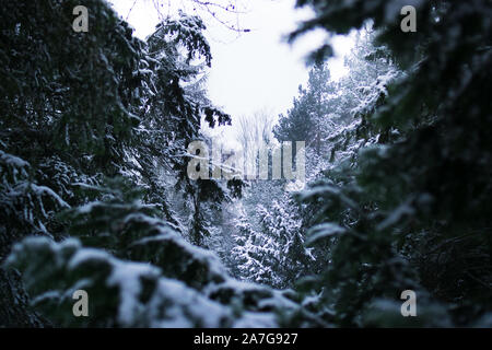 Paesaggio Innevato a Lousberg ad Aquisgrana in Germania Foto Stock