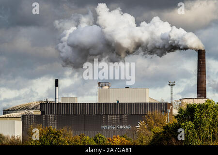 UK Factory Emissions - Sugar Beet Factory Chimneys - il vapore sale dalla British Sugar Factory a Bury St Edmunds Suffolk UK Foto Stock