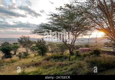 Tramonto nella valle del Ngorongoro in Tanzania Foto Stock